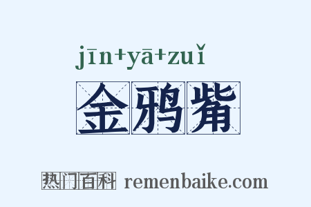 金鸦觜是什么意思的图片